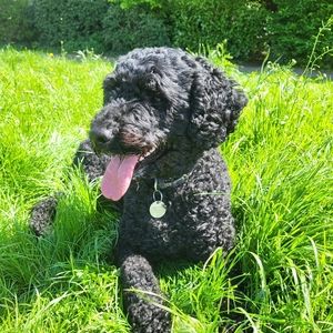 Meet your Posher, Leah